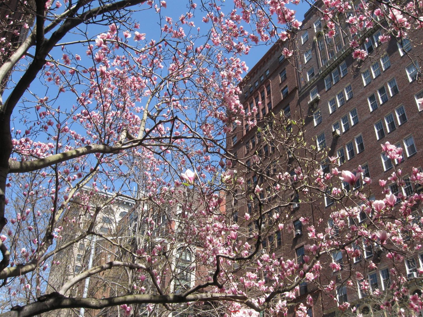 Downsizing Baby Boomers Choose City Life