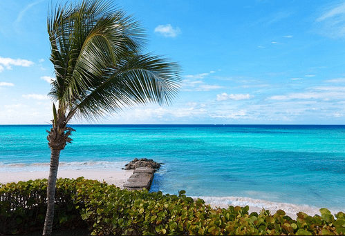 Winter Vacation Travel Warning