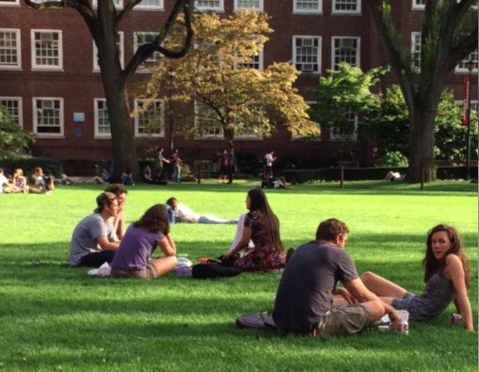 Student Loan Debt Relief Scam