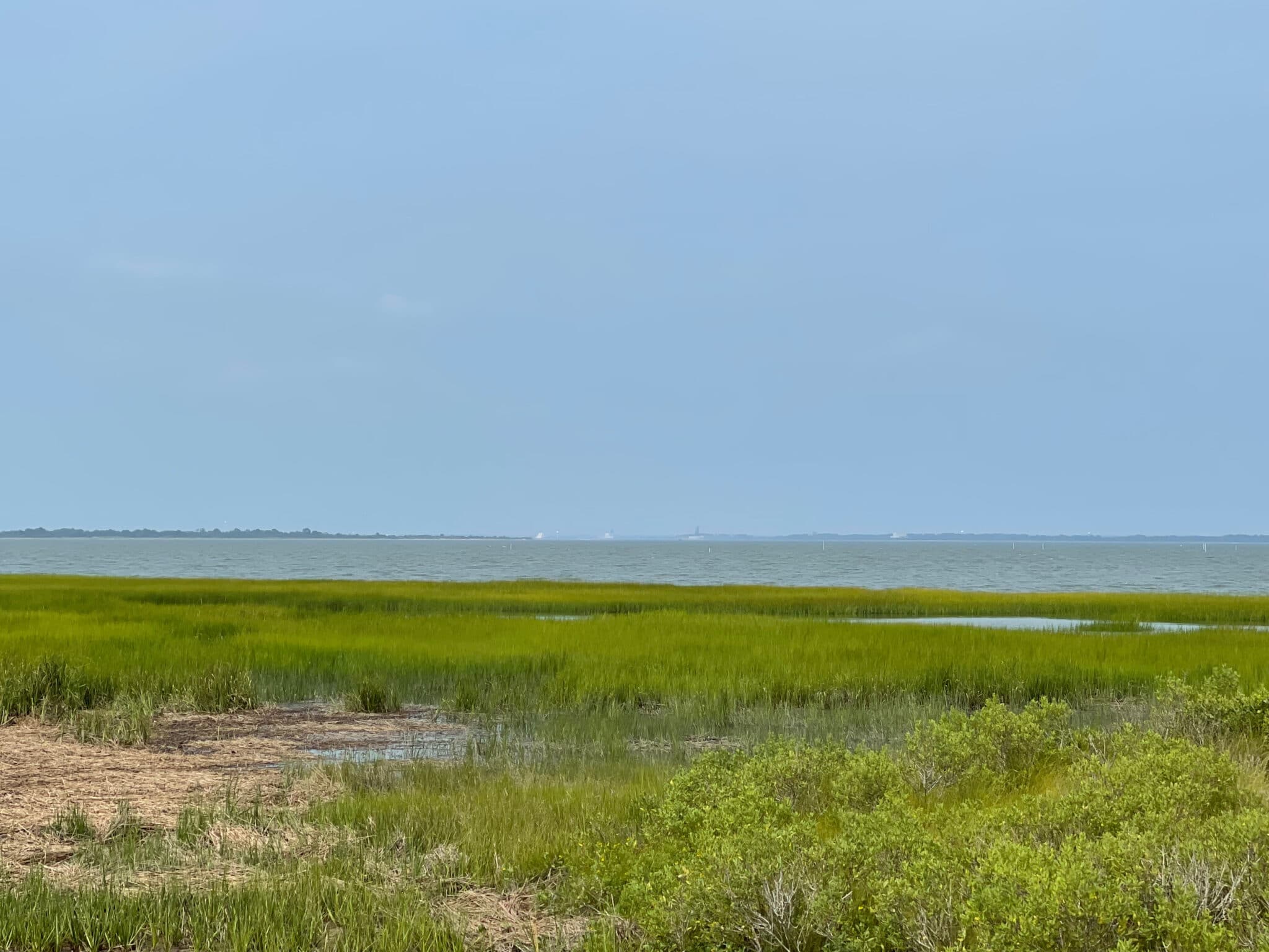 Low grasses on Assateague Island in the Chincoteague National Wildlife Refuge.Photo by ConsumerMojo.com 