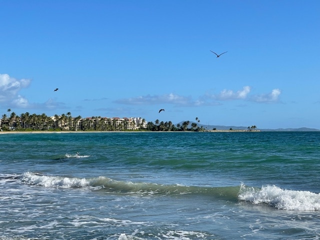 Beach at Palmas del Mar, Photo by ConsumerMojo.com